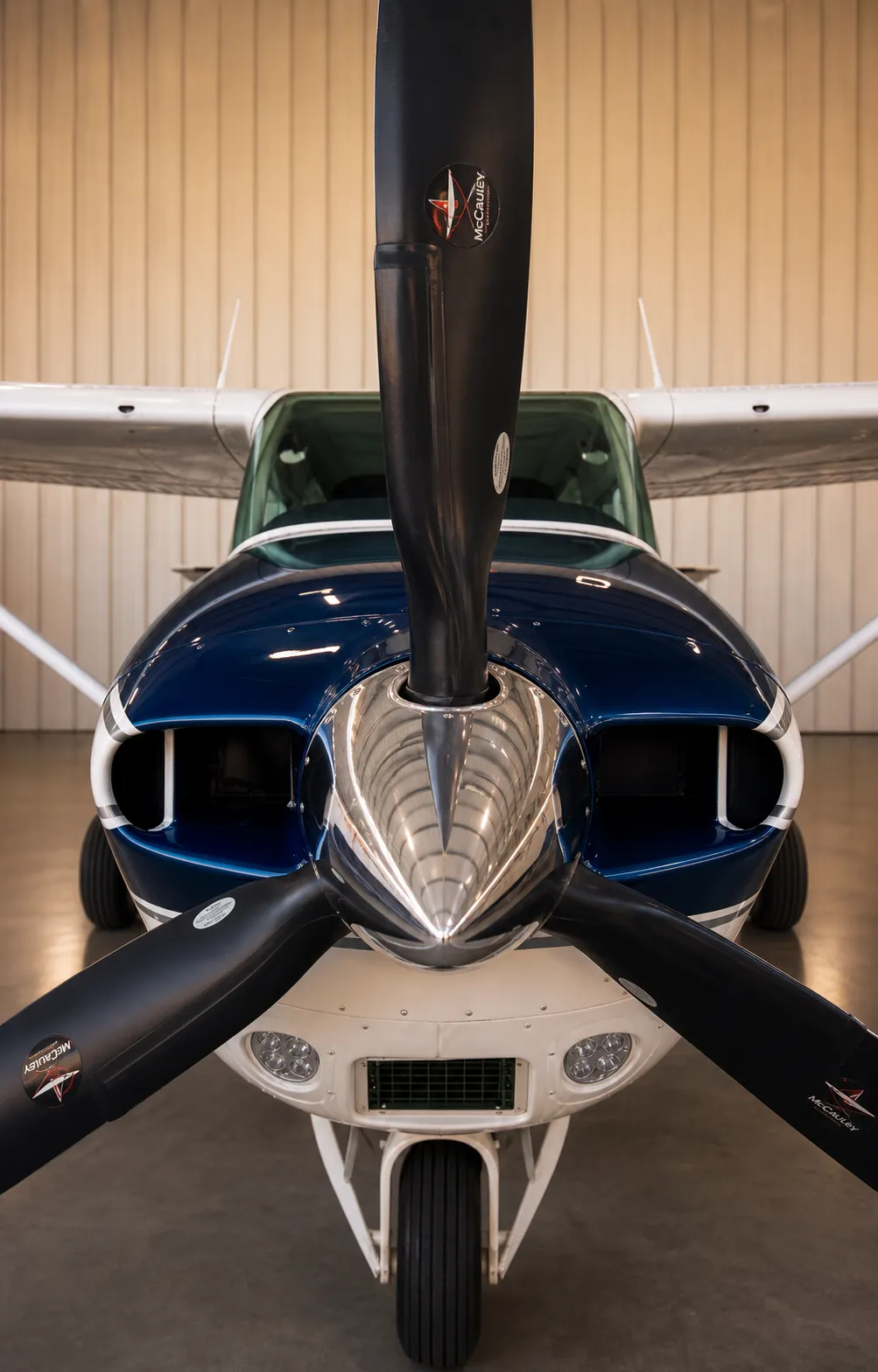 Freshly washed navy nose and spinner